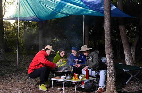 The Art of Ergonomics: The Science of Comfort and Design Details in Recliner Chairs
